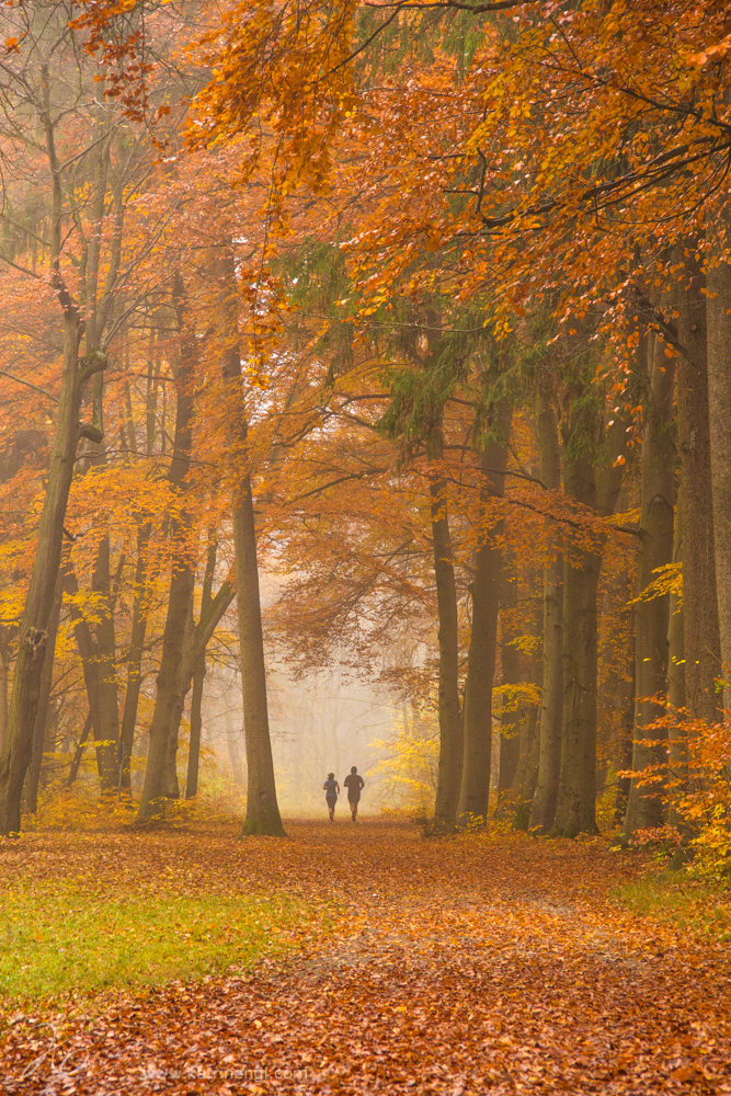 Autumn Augsburg joggers