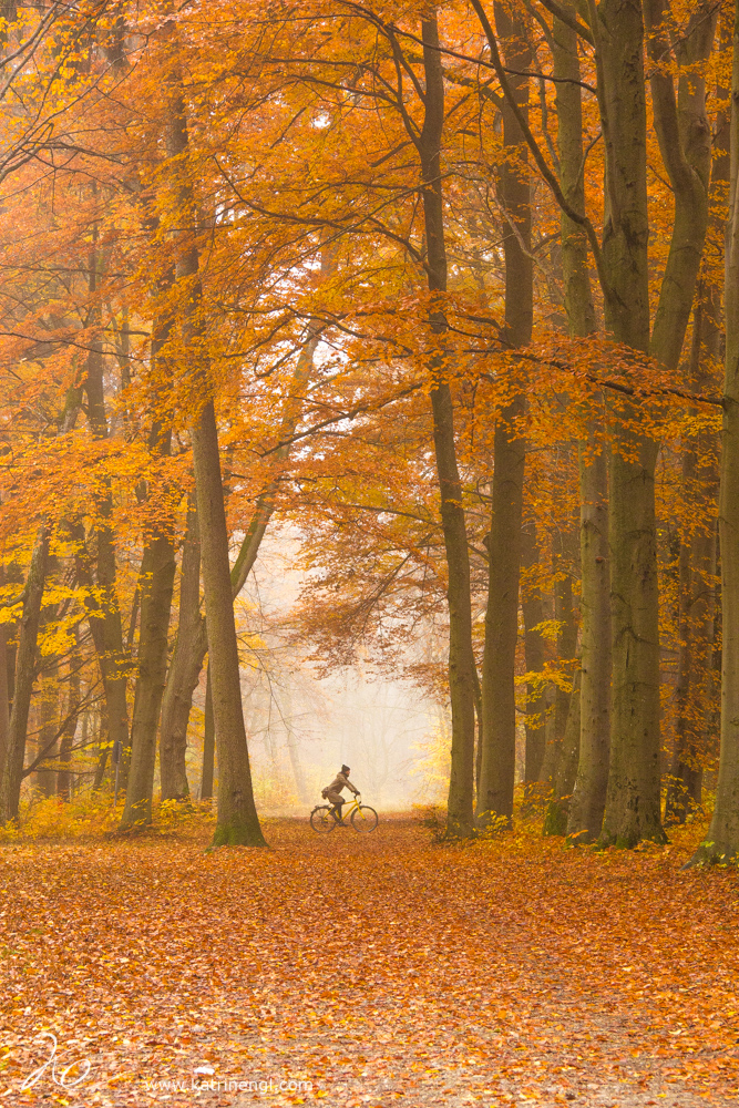 Autumn bicycle Augsburg