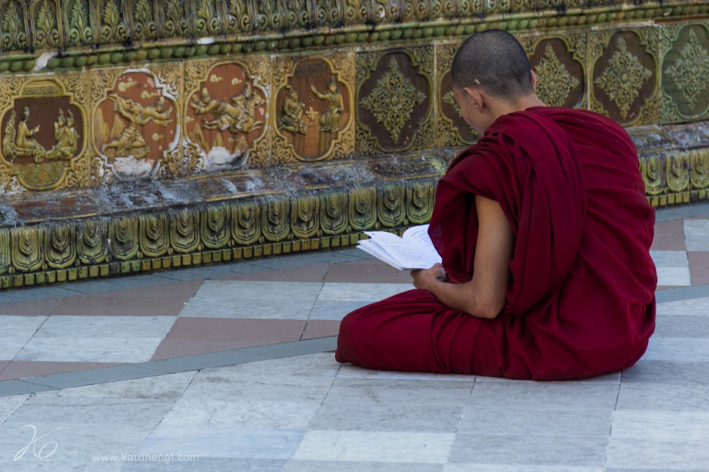Reading Monk Shwedagon Pagoda Yangon Myanmar