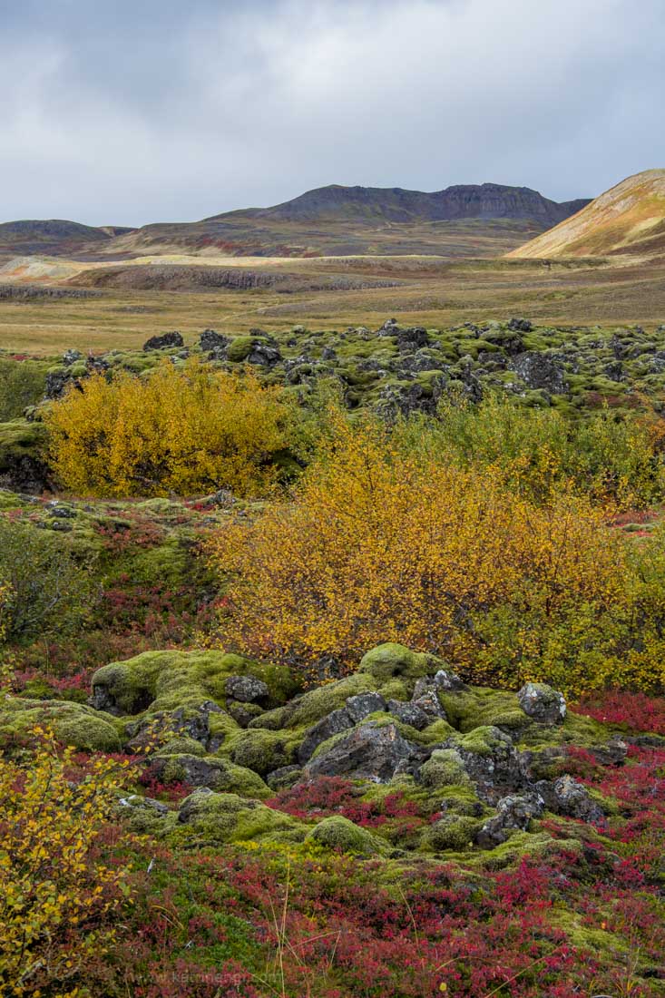 Autumn in Vesturland Iceland