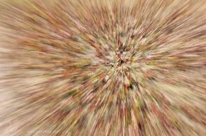 abstract_pattern